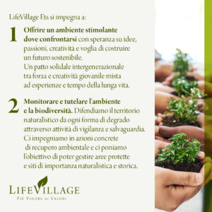 LifeVillage