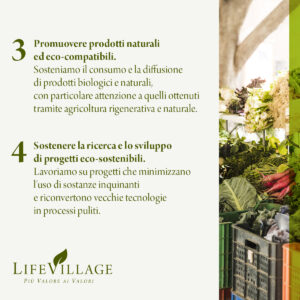 LifeVillage