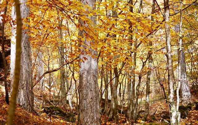 Parco Nazionale Abruzzo turismo sostenibile