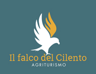 logo il Falco del Cilento