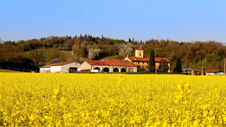 agriturismo Le Sorgive