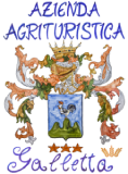 agriturismo Galletta Logo