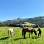 agriturismo Lu Branu