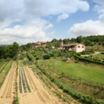 agriturismo Marilena la Casella