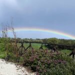 agriturismo SU BARCU