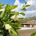 agriturismo Tenuta Lanza Il Mulino