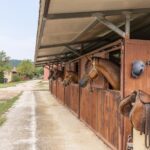 agriturismo Le Case Rosse di Montebuono