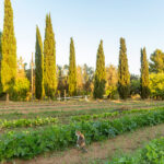 agriturismo Casina dei Nonni